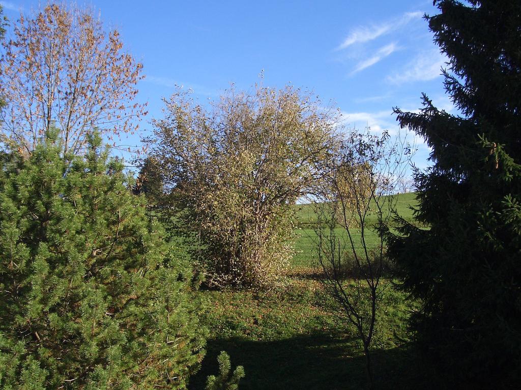 Gaestehaus Guggomos "Hopfen Am See" Fussen Room photo